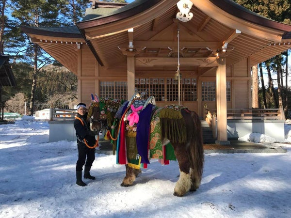 【大崎・石巻・県北エリア発】 開運!午(うま)年初詣ミステリー(日帰り)2